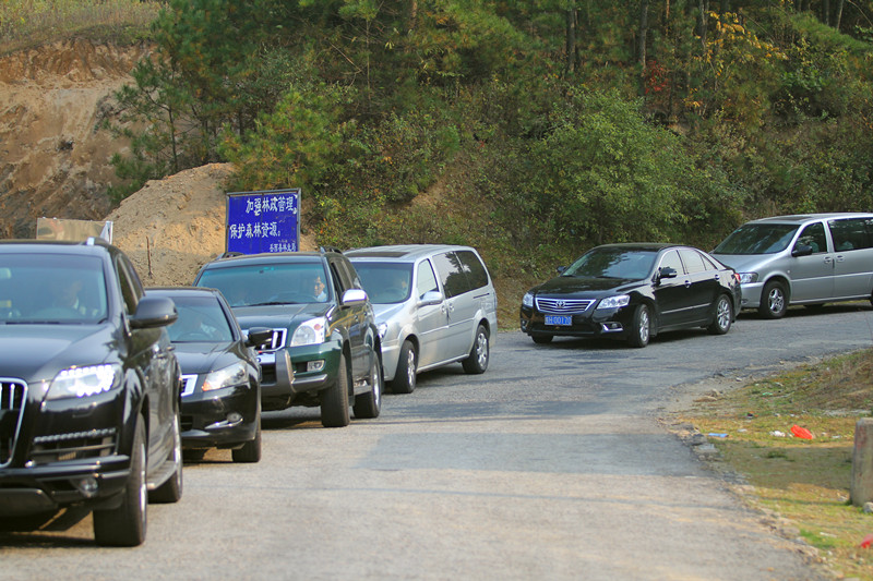 04.jpg 04.jpg