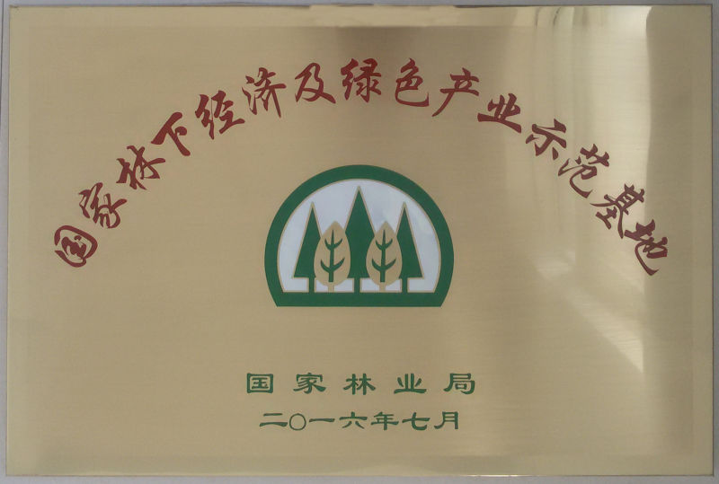 热烈祝贺：安徽天明生态林农科技开发有限公司荣获“国家林下经济及绿色产业示范基地”