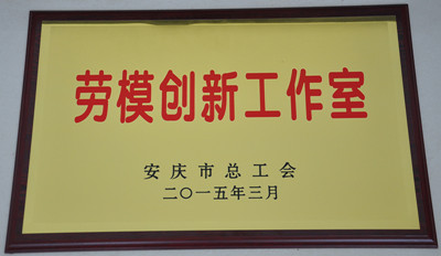 热烈祝贺储荣生劳模工作室获得首批安庆市“劳模创新工作室”称号