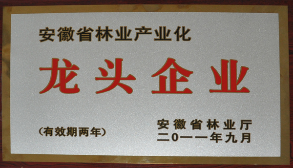 安徽天鵝集團被認定為安徽省林業(yè)產業(yè)化龍頭企業(yè)