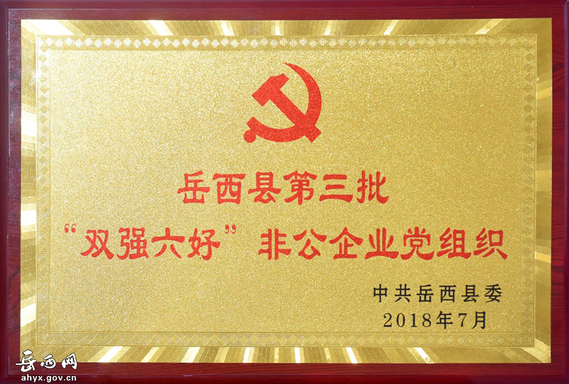 安徽天鵝集團非公黨建榮獲多項表彰