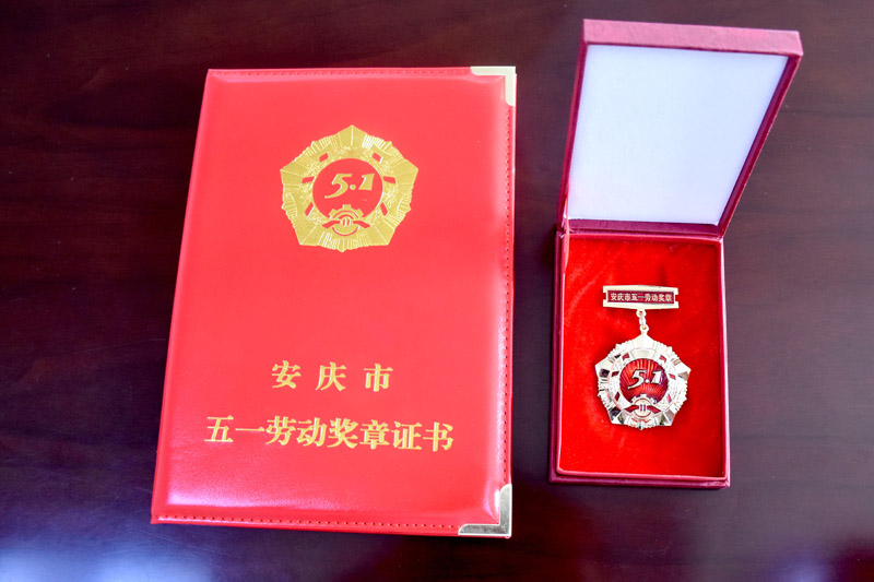 天鹅电子绕线课程序员金裕丰 荣获安庆市五一劳动奖章